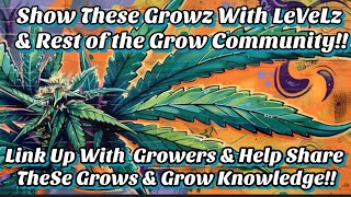 Craziest Grow & Show on YouTube! Link Up with Growers in this Community & Help SHARE THESE GROWS!!!