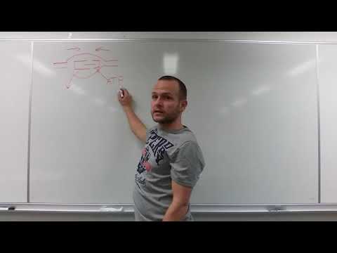 Video: Hvordan forklarer du ATP?