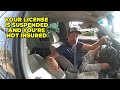 Busted for Driving on a Suspended License and No Insurance - Sarasota, Florida - December 31, 2024