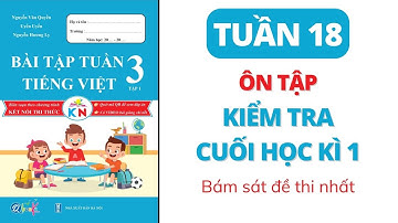 Tuần 18 - ÔN TẬP KIỂM TRA CUỐI HỌC KÌ 1 | Bài tập tuần | Tiếng Việt lớp 3 | Tập 1 | Kết Nối