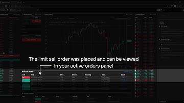 HollaEx Pro exchange trading demo (live platform powered by HollaEx white-label exchange software)