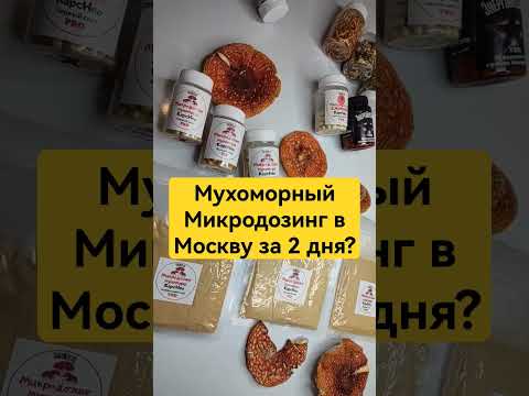 Мухоморный Микродозинг в Москву за 2 дня? #микродозинг #мухомор #микродозингмухомора