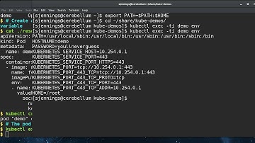Kubernetes Secrets and Config Maps