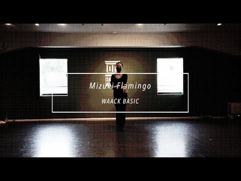 【DANCEWORKS】 Mizuki Flamingo / WAACK BASIC