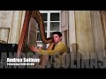 Clair de Lune by Debussy - Harp ● Andrea Solinas
