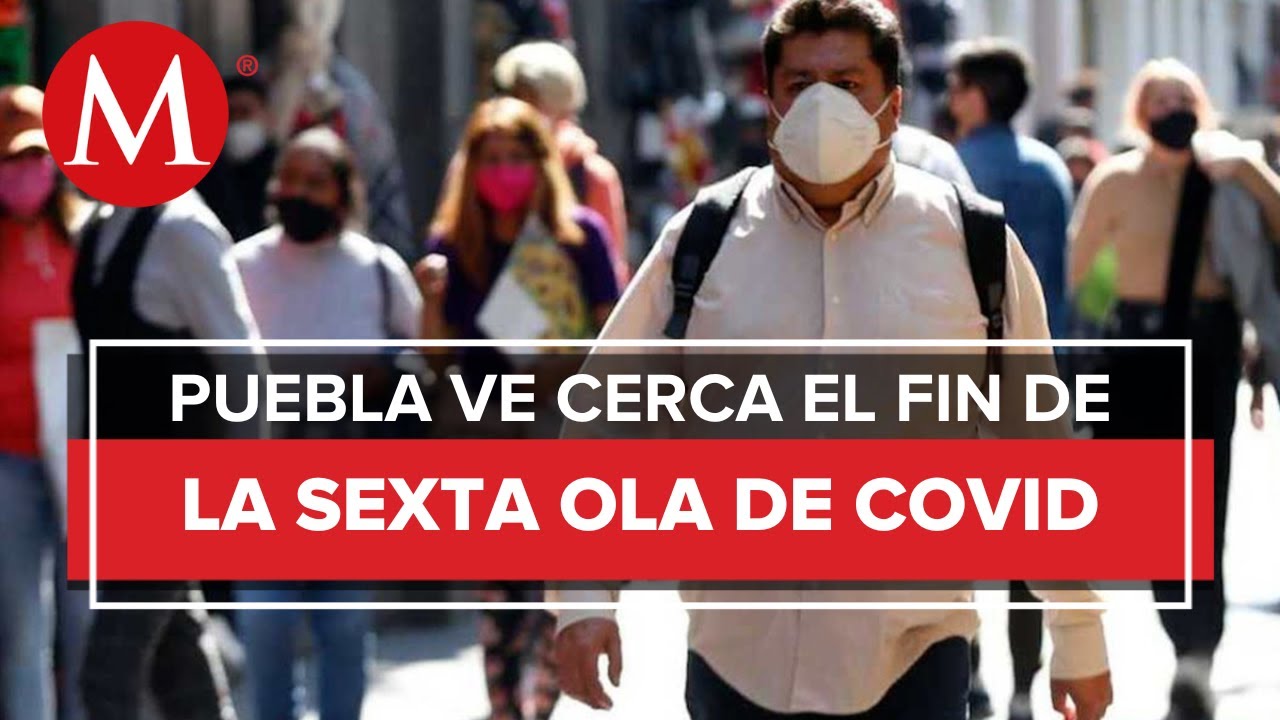 ¿Termina la sexta ola? Prevén disminución de casos positivos de covid ...