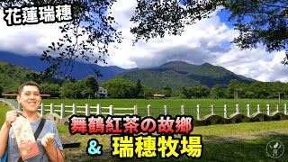 【花蓮瑞穗】 一日遊景點part.1｜瑞穗牧場掃叭石柱舞鶴茶園蜜 ... 