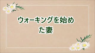 hiroshima 84945616519898
