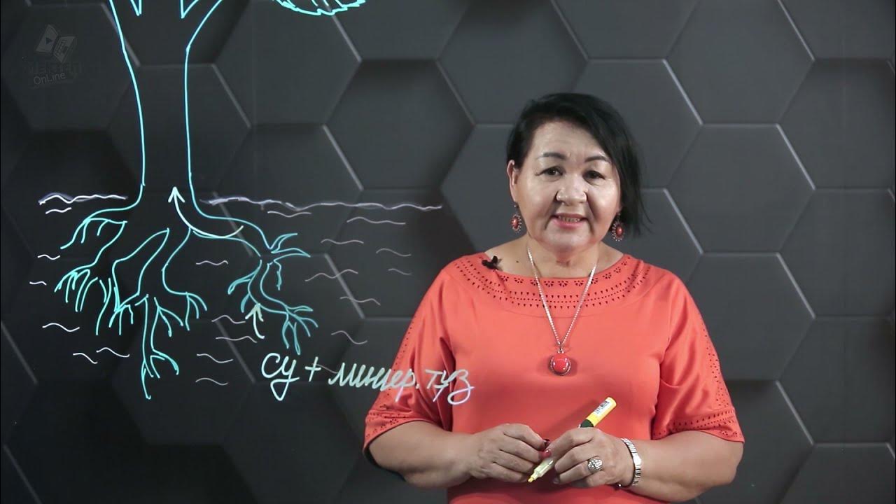 Порно журналдарды онлайн көру