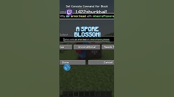 How To Put Items On Your Head In Minecraft!