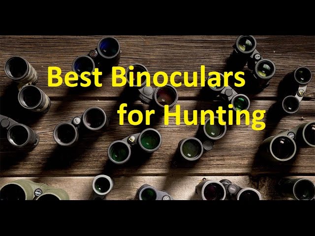 top 10 binoculars 2016