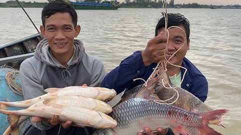 Thử Thách 100h Săn Bắt 3 Tỉnh Miền Tây (tập 3 Chợ Mới - An Giang trúng bầy cá cóc)| Cldv #321