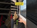 Путешествуй! #travel #grenavtsevtravel #путешествие #shortvideo