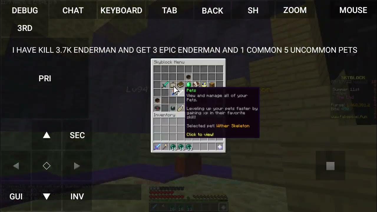 how to get enderman pet in fakepixel skyblock for free YouTube