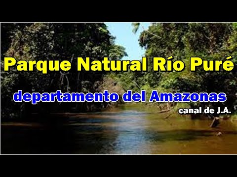 Parque Nacional Natural Río Puré se encuentra en el departamento del ...