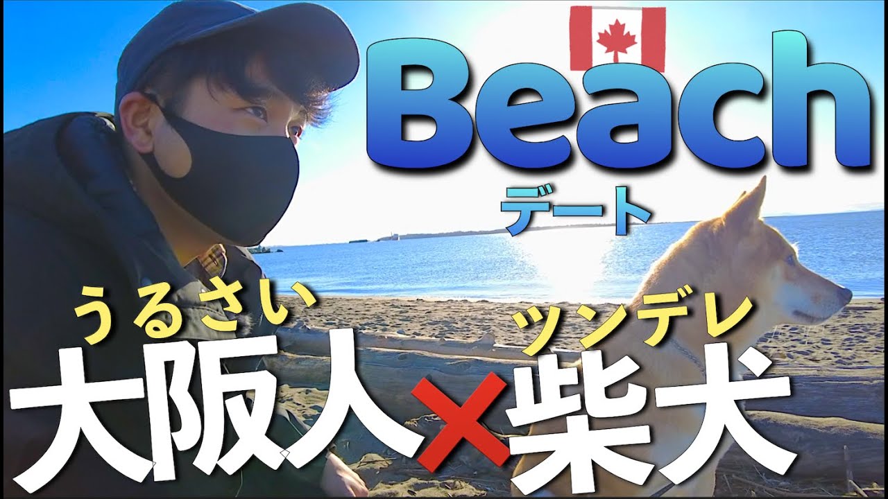 犬ドキュメント ゆず物語 アメリカで生まれた柴犬と呼ばれて Youtube