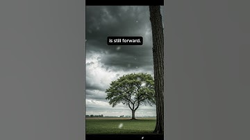 Tiny Wins Build Big Change