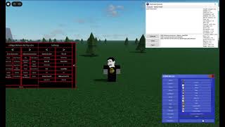 Roblox serverside exploiting