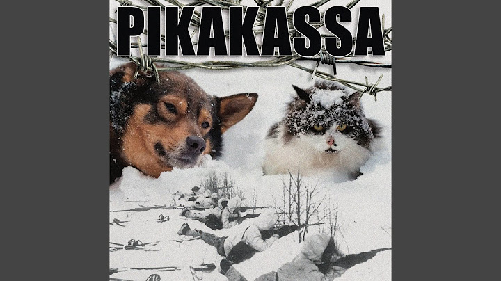 En Ole Kusipää