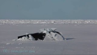 Всплытие американских подлодок из под арктических льдов