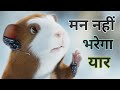 G Force Movie Review Comedy Movie Gforce Gforcehindi 