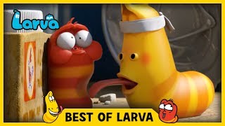 LARVA | BEST OF LARVA | Funny Cartoons for Kids | Cartoons For Children | LARVA 2017 WEEK 25