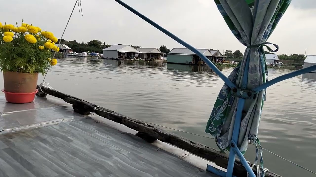 Phong cảnh miền tây sông nước cùng ghe chở cá mướng trời buổi chiều rất là đẹp 