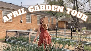 April 2024 Backyard Garden Tour! Whats All Growing In The Garden Before My Last Average Frost Date! by Bre Ellis 14,193 views 1 month ago 20 minutes