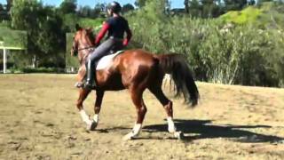 Schooling Video March 2008.wmv