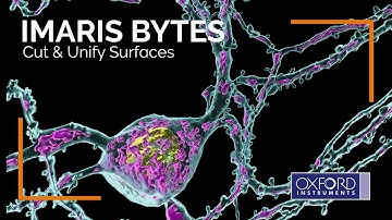 Imaris Bytes | Cut & Unify Surfaces