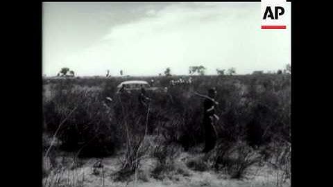 AUSTRALIA - RABBITS THEIR PROBLEM