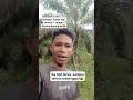 Ini kebun hasil ngonten, termul jangan kepanasan nanti meninggoy 🤣🤣