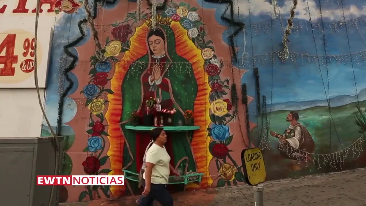 ewtn mass EWTN Noticias - Resaltan presencia de inmigrantes en Estados Unidos / 04-07-2017