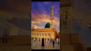 islamic post #viral #video #hadi ali x1