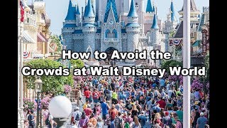How to Avoid the Crowds at Walt Disney World