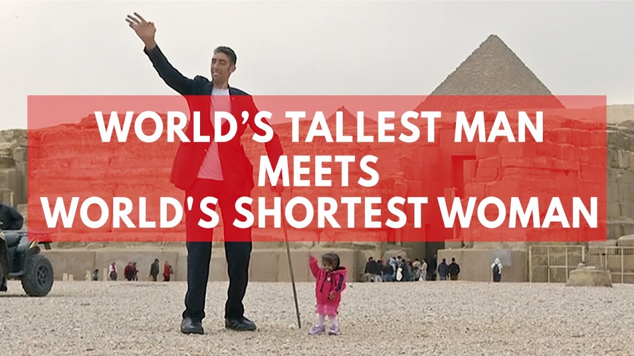 Is the shortest in the world