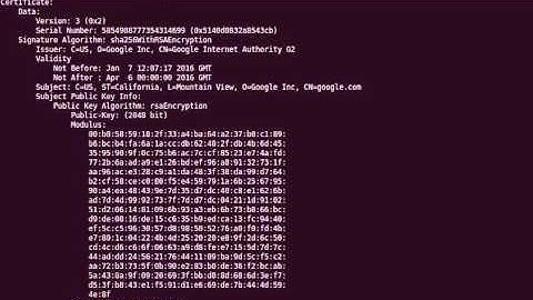 View the contents of a DER encoded certificate with OpenSSL