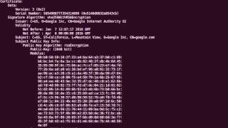 View the contents of a DER encoded certificate with OpenSSL
