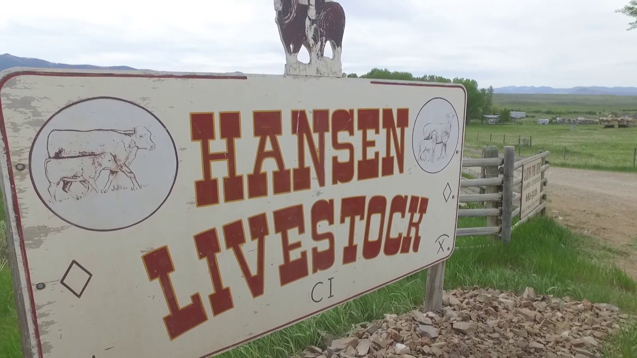Conservation for the Future - Hansen Livestock, Dillon, Mont.
