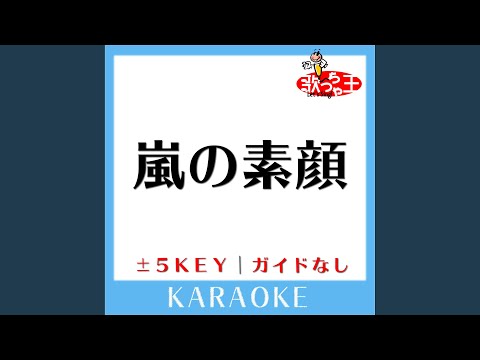 嵐の素顔 -5Key (原曲歌手:工藤静香)