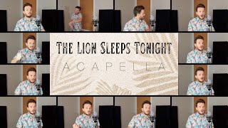 The Lion Sleeps Tonight (ACAPELLA)