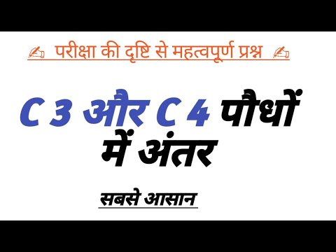 C3 और C4 पौधे में अंतर (m.p.Board) Bhopal