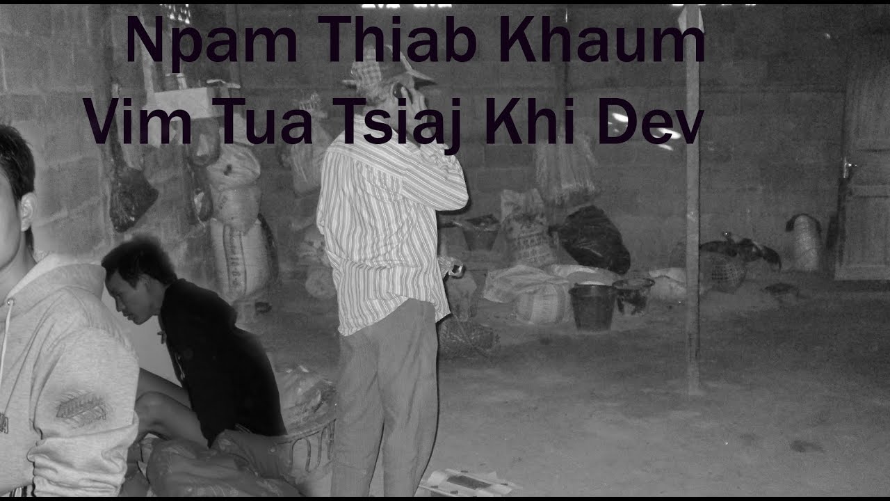 May 15, 2025 Muaj Kev Npam Vim Tua Tsiaj Khi Dev