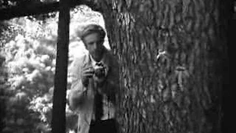 Permanent ME - "Allison" Stolen Transmission