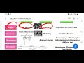medical Microbiology Mycology