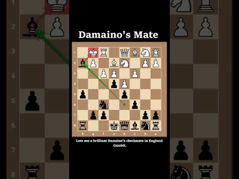 Damaino S Checkmate In Englund Gambit