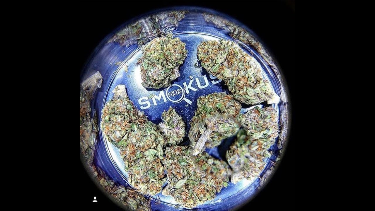 Smokus Focus Weed jar review!  How to store your weed