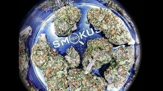 Smokus Focus Weed Jar Review How To Store Your Weed
