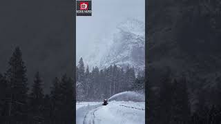 Snow Plow Driver Saves 2 Dogs In Snow Blizzard #goodnewschannel #news #dogrescue #blizzard
