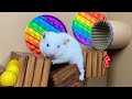 🐹Hamster Escape the Pool Maze | Hamster Adventure